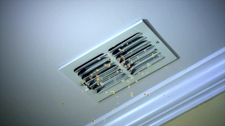 Best Air Duct Cleaning Near Me  in Chester, SC
