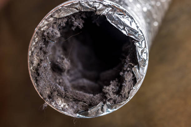 Best HVAC System Cleaning  in Chester, SC