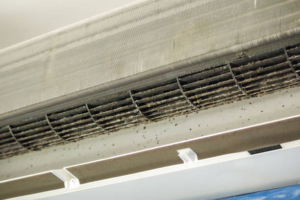 Best Best Air Duct Cleaning Near Me  in Chester, SC